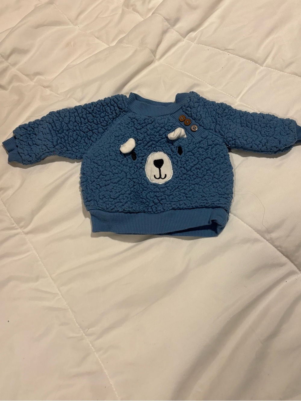 chick pea Blue Teddy Bear Textured Baby Sweatshirt 0-3 months